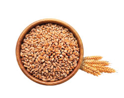 Chickpeas